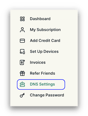 ExpressVPN DNS Settings