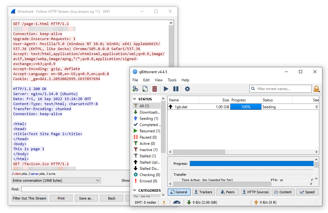 NordVPN SOCKS5 proxy packet inspection screenshot