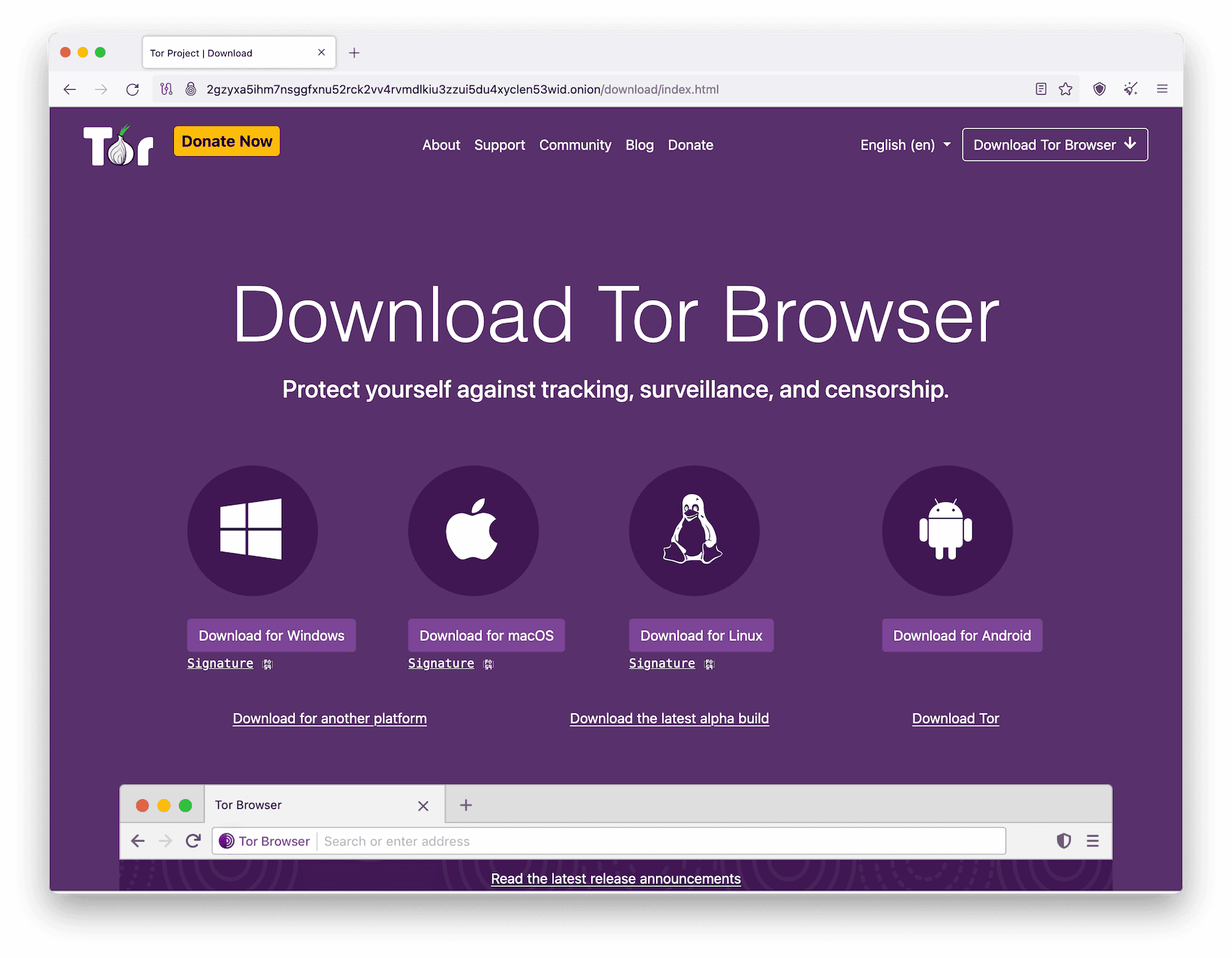 I diversi dispositivi disponibili con il browser Tor.